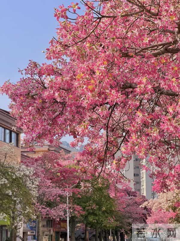 老人分两种,旺家和败家,看看你是哪一种