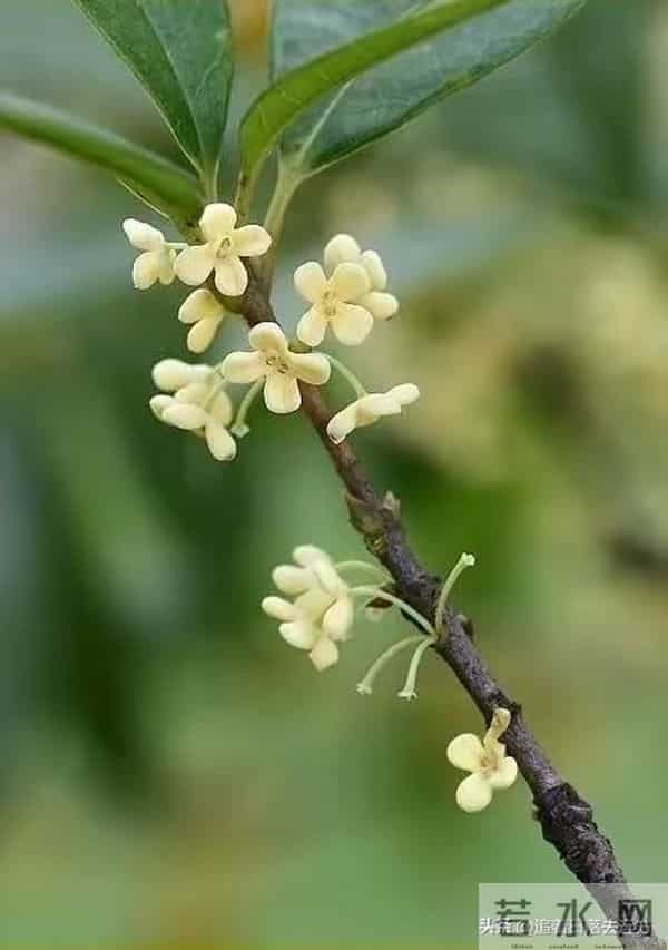 男人一定要记住一件事:婚可以离,家可以散,人不珍惜可以换