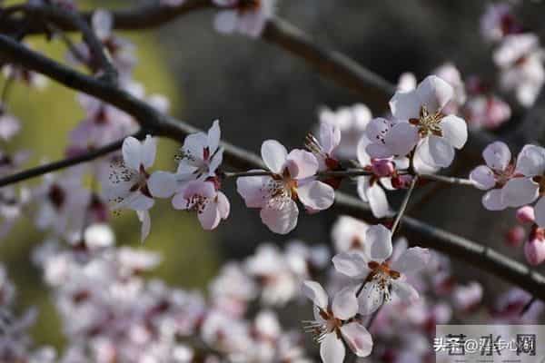 过了60岁，就别胡思乱想，更别焦虑了，做到这几点，就能安度晚年