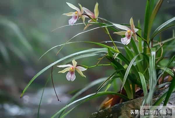 两性关系:80岁女人说的大实话,句句扎心,赶紧看看。