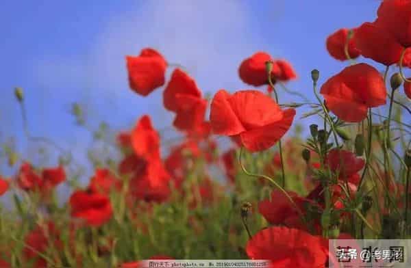 人这辈子,就两件事不能做:一是回头哭,二是抬头等