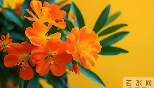 人品好的人,无论到什么年纪,都不会缺人爱