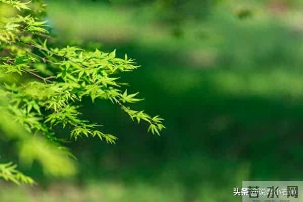 从今天起，你的好日子正式到站了，请准备签收！