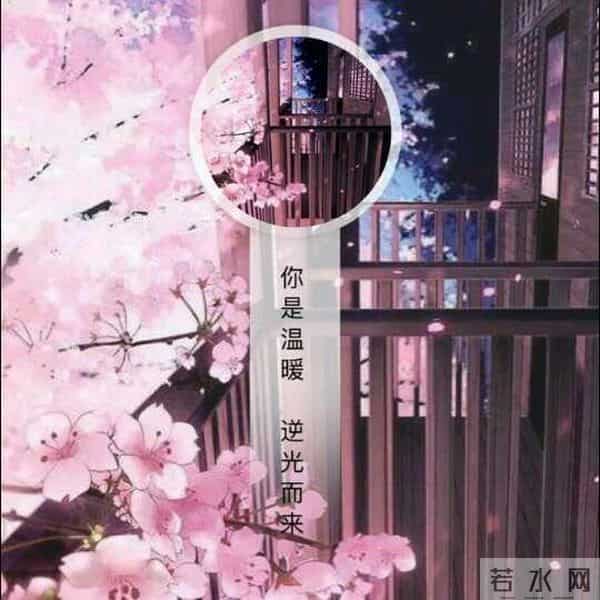 浪漫从不是四季风浪漫从不是四季风景 而是身边“一直在”的温度 。