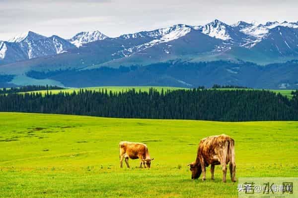 两性关系:婚姻无糖时,学会“婚内单身”是最高级的自救