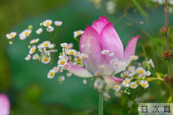对不尊重你的人，无视远离就好
