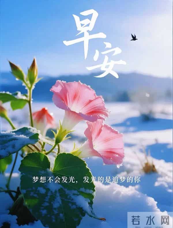 「2025.12.05」今日唯美早安祝福图片问候，温馨早上好祝福语