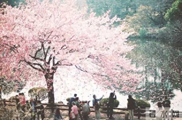 浪漫从不是四季风浪漫从不是四季风景 而是身边“一直在”的温度 。