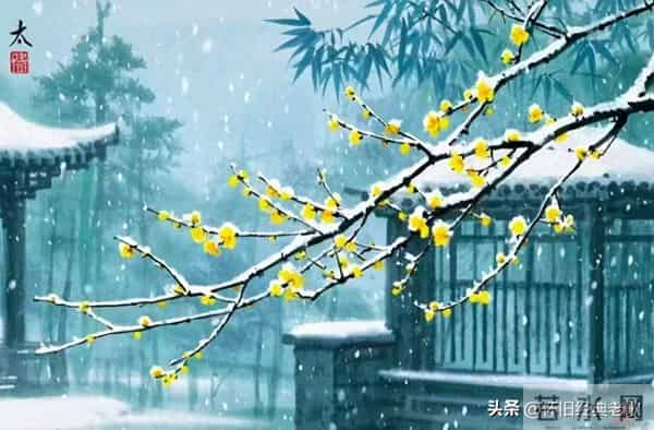 大雪：岁暮清欢，故人长伴