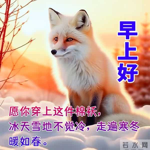 时光浅吟，情谊长歌。新的一天，早安！