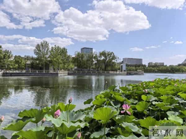 人到中年才顿悟:婚外情这破事,谁沾谁倒霉,无一例外