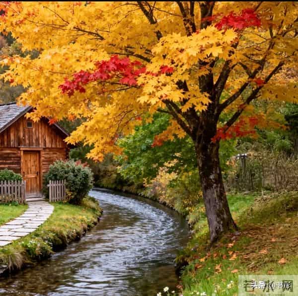 女人越碰越上瘾!男人必学的肢体接触技巧,让她天天缠着你