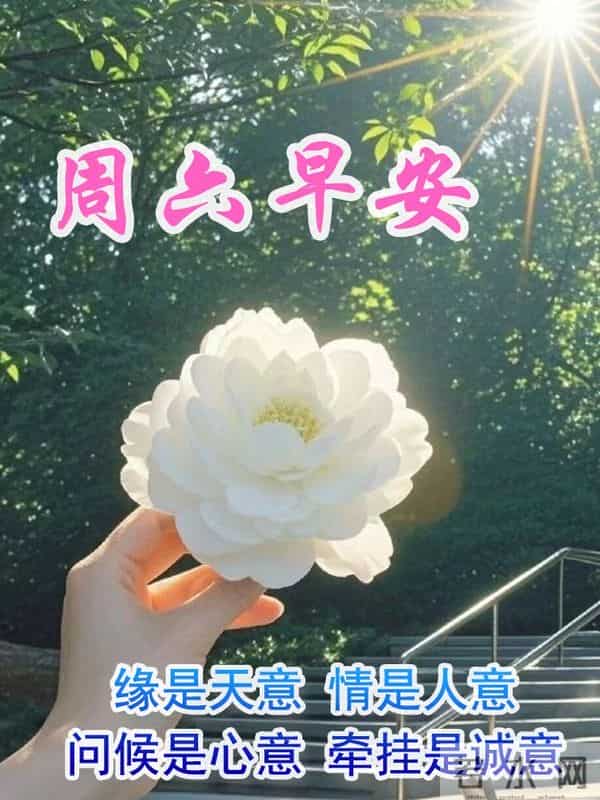 周六早安问候美图-感恩相伴,愿我们各自安好