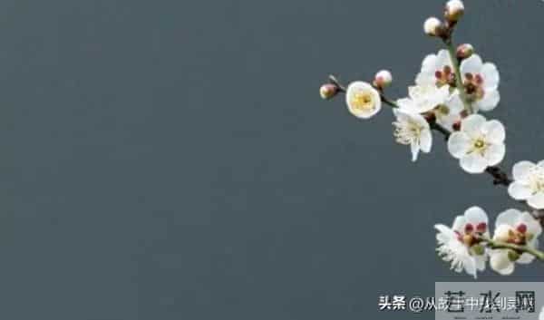 “人若奸,一看便知”:有这三种特征的人,你要多留个心眼