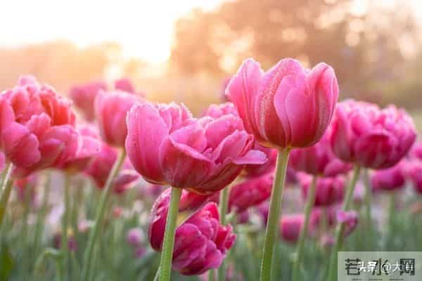 人老了,这6样,你占一样就了不起,全占简直是人生赢家!