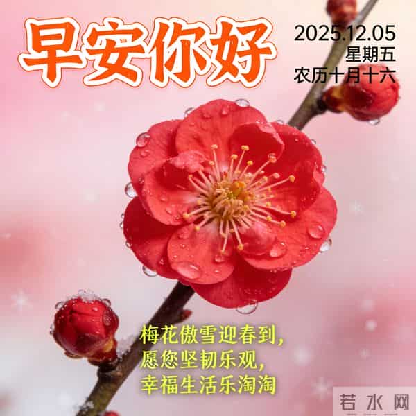 2025.12.05 早安祝福 围巾手套御寒风 亲友叮咛情意暖 早安幸福万年长