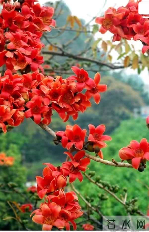 一半是征途的奔波，一半是归途的坚守，爱从未缺席