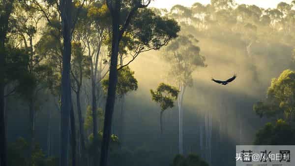 谁也躲不过因果!央视首次正面承认因果的存在!