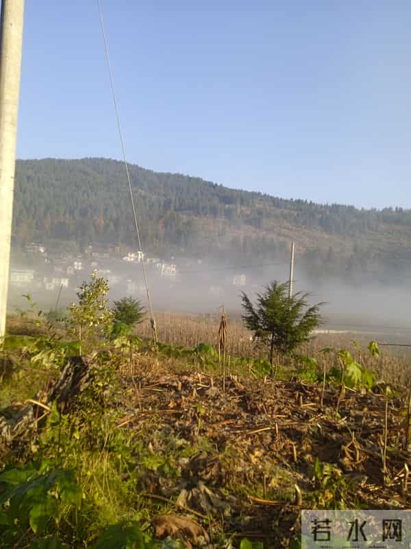 一个人的独居生活，想脱离世俗，却摆脱不了世俗的偏见