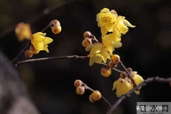经历两次离婚,我明白了-所有夫妻关系的破裂,都始于同一个错误