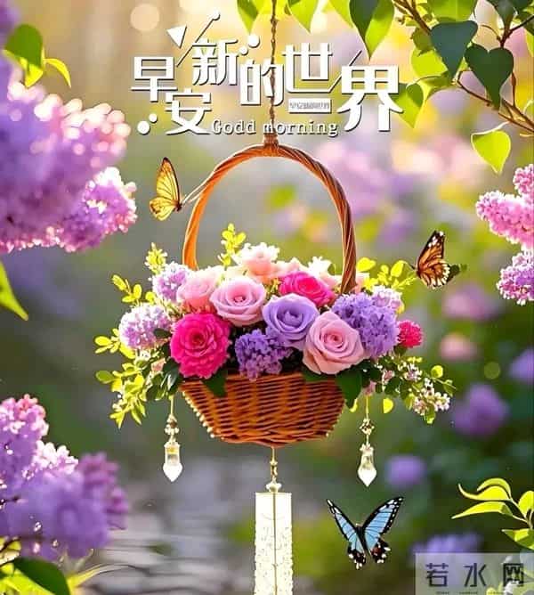 早上好问候祝福图片分享｜阳光暖暖，祝福甜甜！早安快乐！