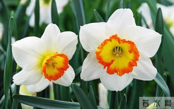 老了才明白：父母开始看你脸色了，不是他们怕你，而是他们老了