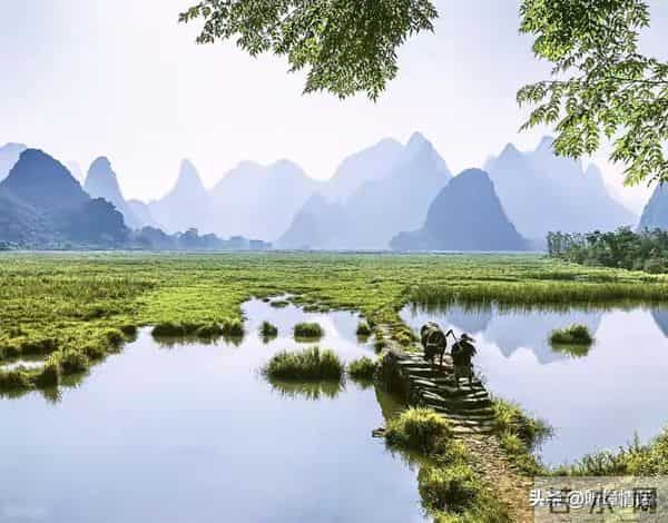 一辈子都写不出的金句，我帮你整理了30条