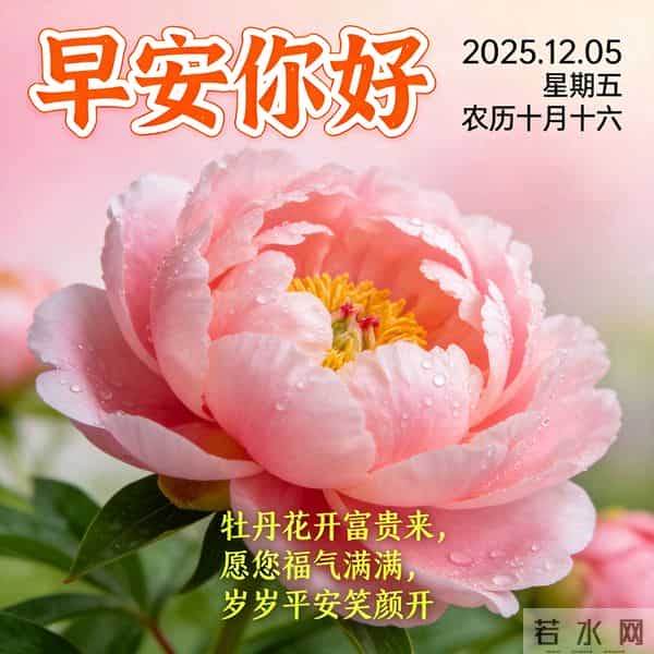 2025.12.05 早安祝福 围巾手套御寒风 亲友叮咛情意暖 早安幸福万年长