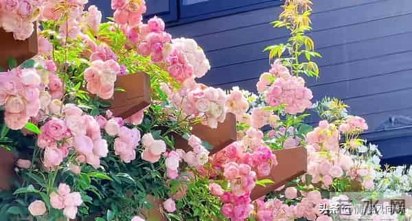 20条人性真相：看透这些，人生开挂不是梦