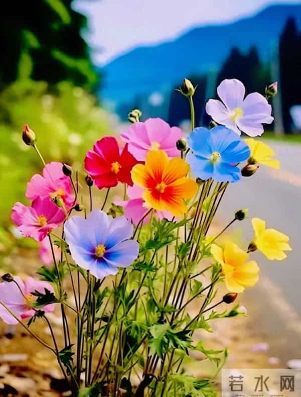 累了歇一歇,烦了静一静,急了缓一缓,把握好生活节奏