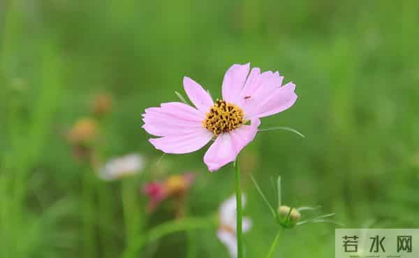 如果你一眼就能看透身边人,就会变得越来越不合群