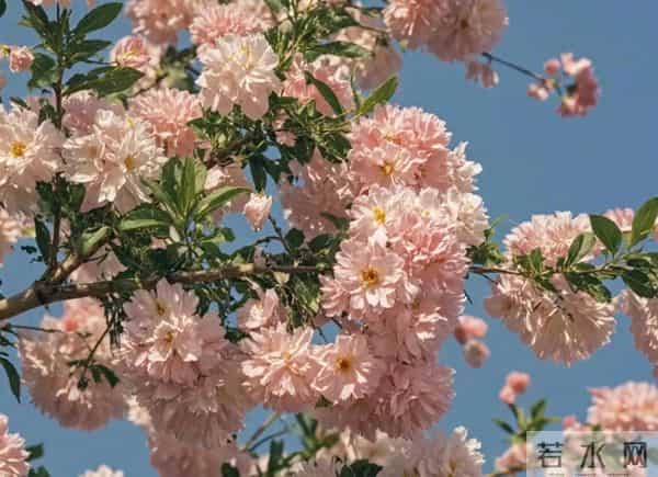 晚年最怕的不是孤独，而是把关系弄僵了才想明白