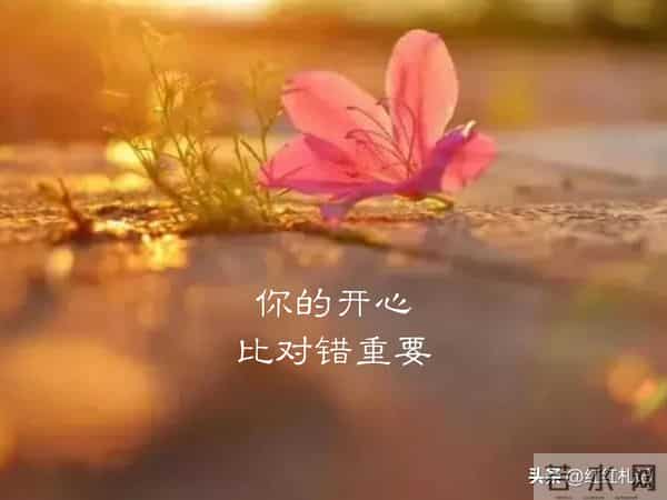 既然无缘，何须誓言。