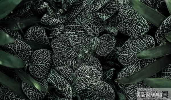 丑牛要“笑醒”了,12月5号你将会遇见你最大的2位贵人!