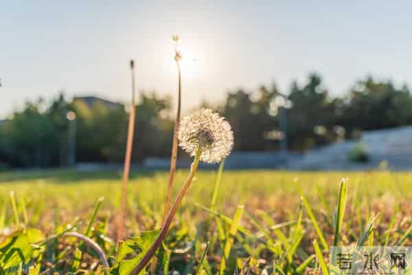 男女之间有3种感觉，就是相互喜欢的灵魂伴侣