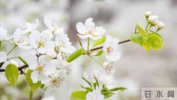 前夫退休跟我分居一年,回来跟我说:离婚吧,她已经有了我的孩子