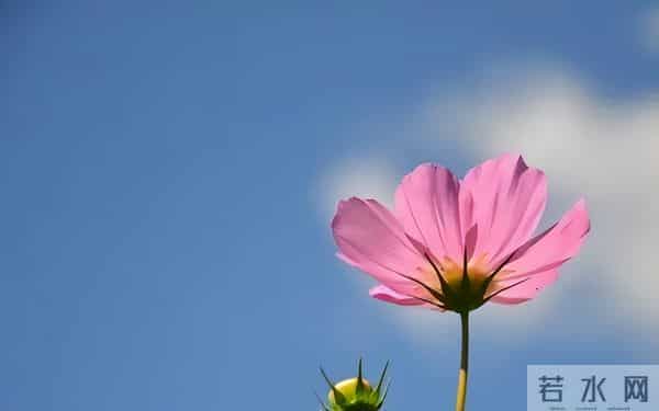 男人心底的4个软肋,抓住了,他便离不开你