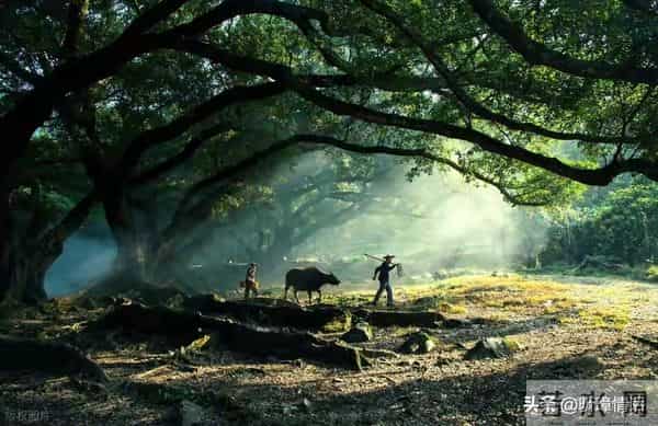 一辈子都写不出的金句，我帮你整理了30条