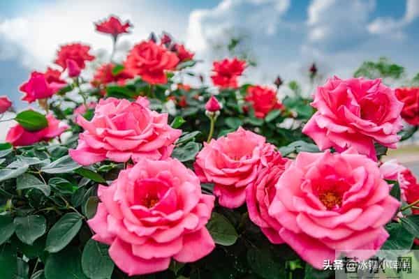 两性关系:男人得懂,女人无论年龄多大,都渴望有人陪!