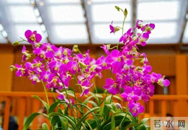 今日爆款文章：《轻抚生活，浅绘人生》