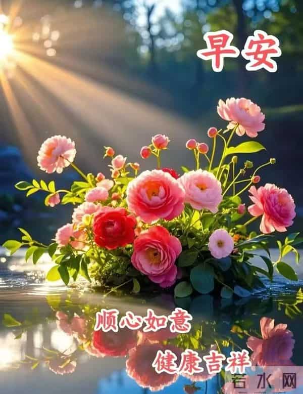 12.5日早安祝福图片分享