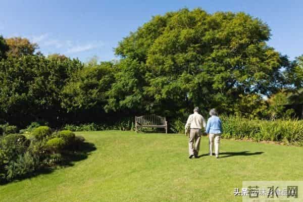 60后70后的婆婆不好哄了，她们想明白了这几件事