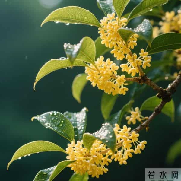 亲家初次见面，带对3样东西，体面又拉满好感（建议收藏）