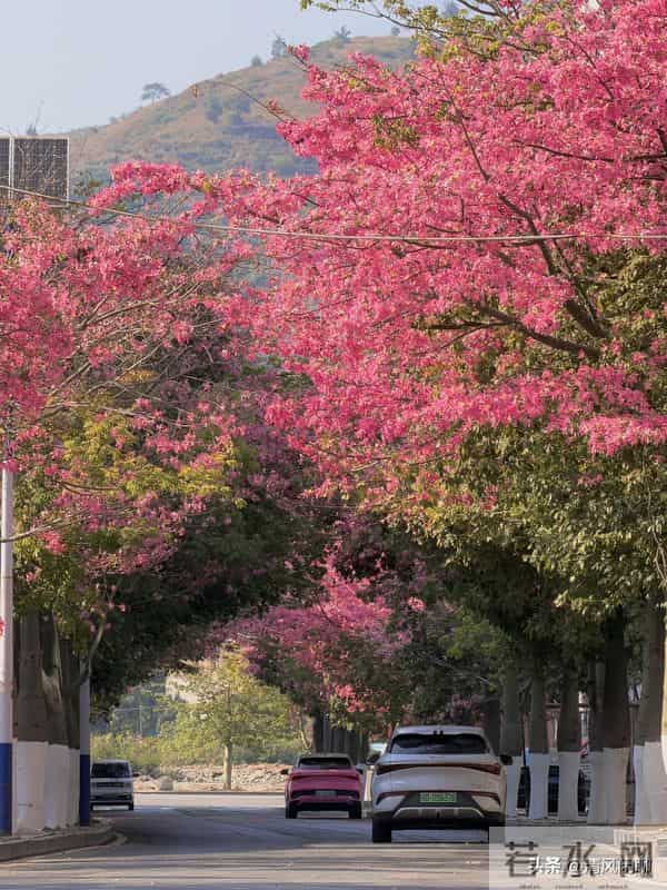 老人分两种,旺家和败家,看看你是哪一种