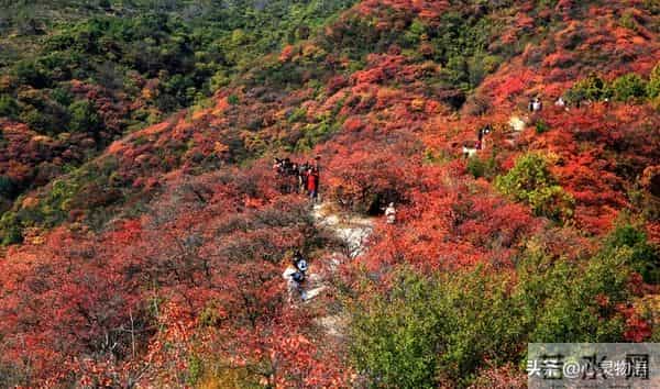 异性之间,偷偷做过这些事,就是彼此动了情