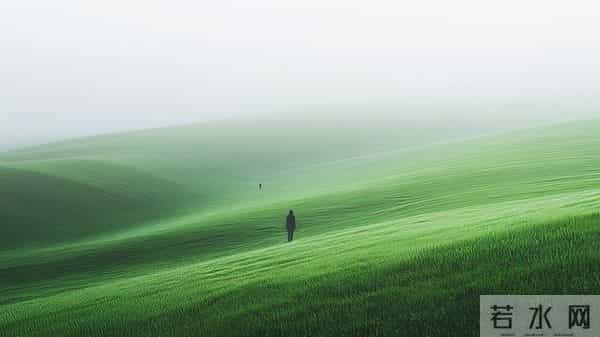 精神层次越高越不屑耍心机？原来他们早看透这层人生真相！