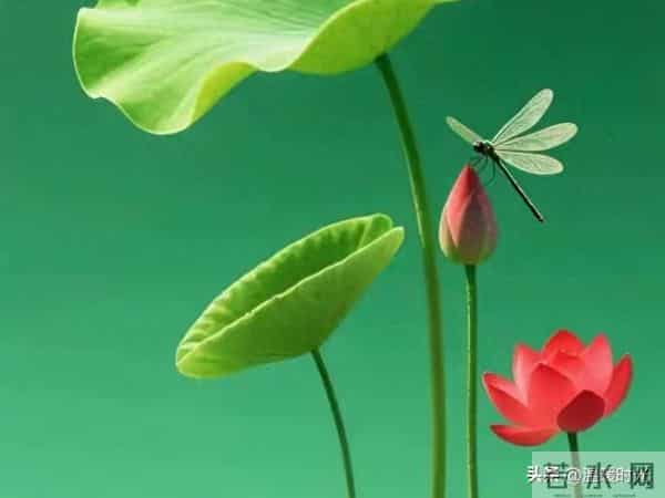 两性关系，65女人大实话，男人过了70岁，只剩下一个用处