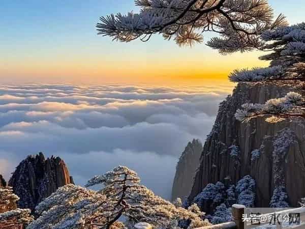 大胆地去报复每一个不尊重你的人：你被欺负，不因为弱，是因为忍