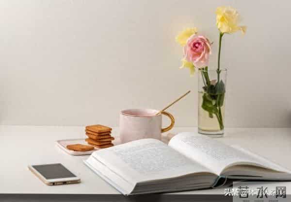 一个人最舒服的状态:读书,喝茶,独处,慢慢活着