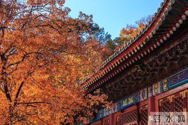 异性之间,偷偷做过这些事,就是彼此动了情